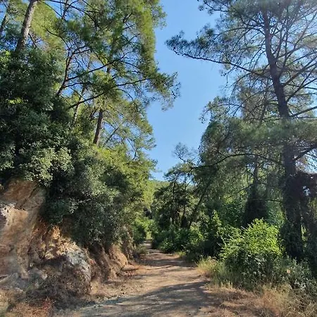 Βίλα Pinar Evleri